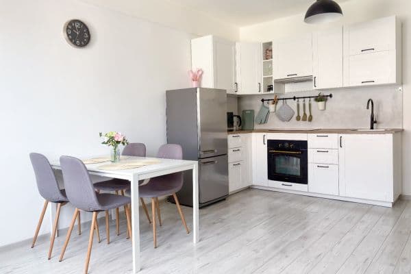 1 bedroom with open-plan kitchen flat to rent, 44 m², Amurská, Praha 1 bedroom with open-plan kitchen flat to rent, 44 m², Amurská, Praha