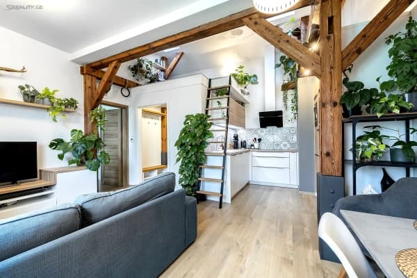 1 bedroom with open-plan kitchen flat to rent, 47 m², Kotlaska, Praha 1 bedroom with open-plan kitchen flat to rent, 47 m², Kotlaska, Praha