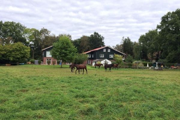 4 bedroom flat to rent, 140 m², Liether Moor 9, Klein Nordende 4 bedroom flat to rent, 140 m², Liether Moor 9, Klein Nordende