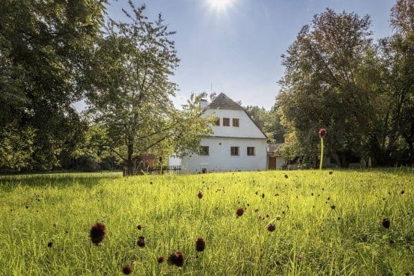 recreational property to rent, 0 m², Mladošovice - Petrovice recreational property to rent, 0 m², Mladošovice - Petrovice