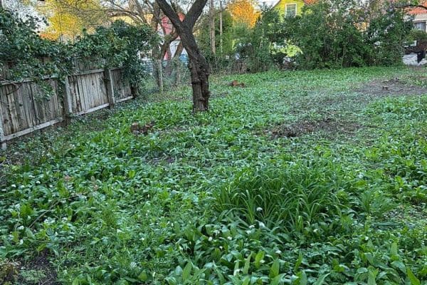 plot for sale, 493 m², Wien plot for sale, 493 m², Wien