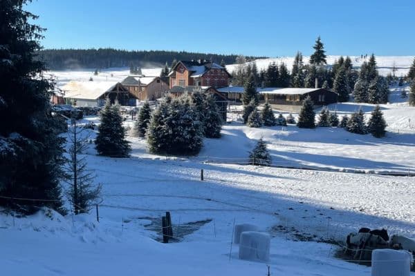 House for sale House for sale