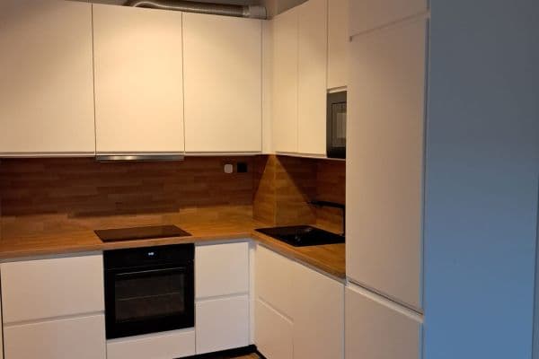 1 bedroom with open-plan kitchen flat to rent, 50 m², Křehlíkova, Brno 1 bedroom with open-plan kitchen flat to rent, 50 m², Křehlíkova, Brno