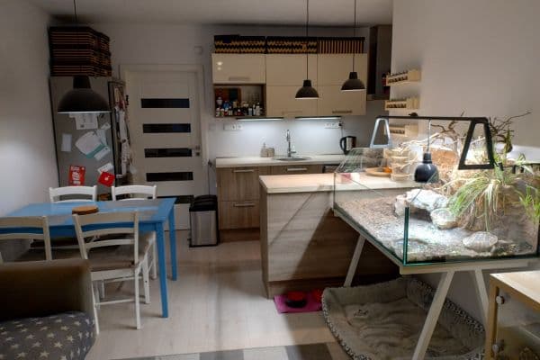 1 bedroom with open-plan kitchen flat to rent, 48 m², Za Sídlištěm, Praha 12 1 bedroom with open-plan kitchen flat to rent, 48 m², Za Sídlištěm, Praha 12