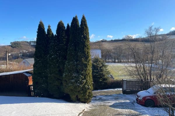 House for sale House for sale