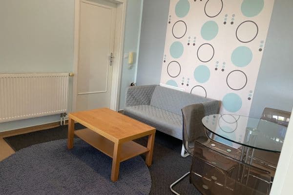 2 bedroom with open-plan kitchen flat to rent, 50 m², Jalodvorská, Praha 2 bedroom with open-plan kitchen flat to rent, 50 m², Jalodvorská, Praha