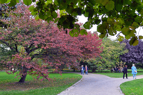 4 bedroom flat for sale, 146 m², Prinzregentenstr., Berlin, Berlin 4 bedroom flat for sale, 146 m², Prinzregentenstr., Berlin, Berlin