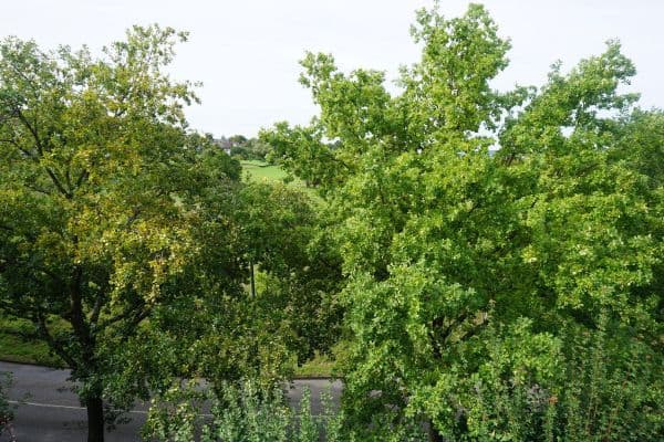 2 bedroom flat for sale, 58 m², Kiebitzweg 16, Kirchheim Teck 2 bedroom flat for sale, 58 m², Kiebitzweg 16, Kirchheim Teck