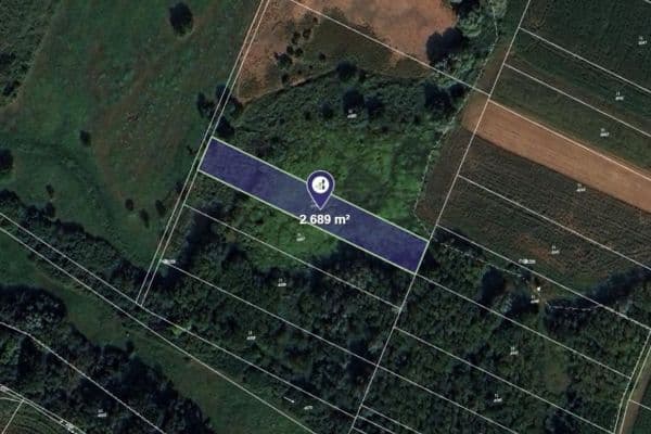 plot for sale, 2,689 m², Moravský Písek, Jihomoravský Region plot for sale, 2,689 m², Moravský Písek, Jihomoravský Region