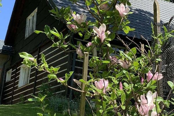 recreational property to rent, 0 m², Sedloňov recreational property to rent, 0 m², Sedloňov