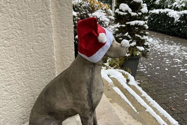 office to rent, 75 m², Robert-Heuser-Str. 15, Köln, North Rhine-Westphalia office to rent, 75 m², Robert-Heuser-Str. 15, Köln, North Rhine-Westphalia