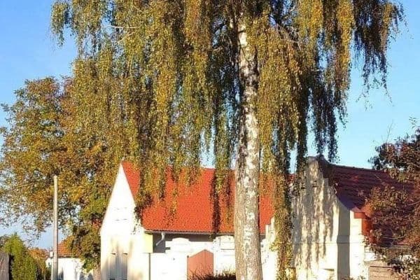 recreational property to rent, 0 m², Dunajovice u Třeboně recreational property to rent, 0 m², Dunajovice u Třeboně