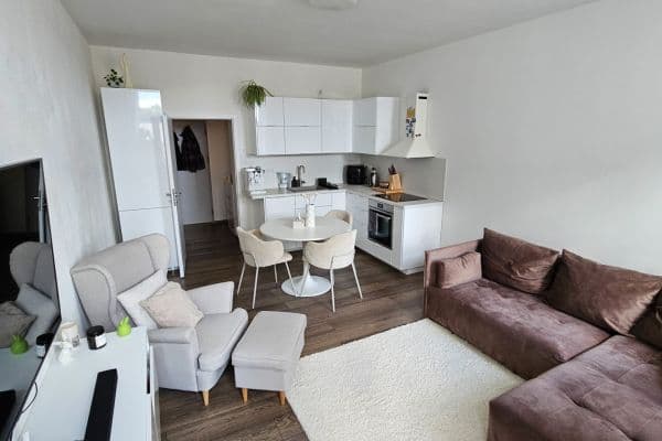 1 bedroom with open-plan kitchen flat to rent, 56 m², Stavební, Brno 1 bedroom with open-plan kitchen flat to rent, 56 m², Stavební, Brno