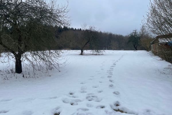 plot for sale, 5,000 m², Sadov plot for sale, 5,000 m², Sadov