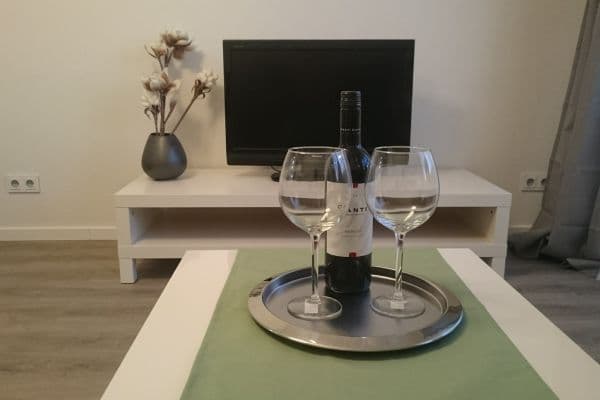 1 bedroom with open-plan kitchen flat to rent, 54 m², Pod Lipami, Praha 1 bedroom with open-plan kitchen flat to rent, 54 m², Pod Lipami, Praha