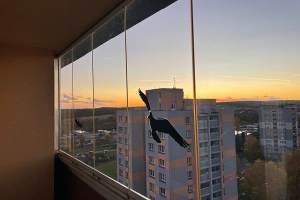 Studio flat for sale, 31 m², Francouzská, Ostrava Studio flat for sale, 31 m², Francouzská, Ostrava