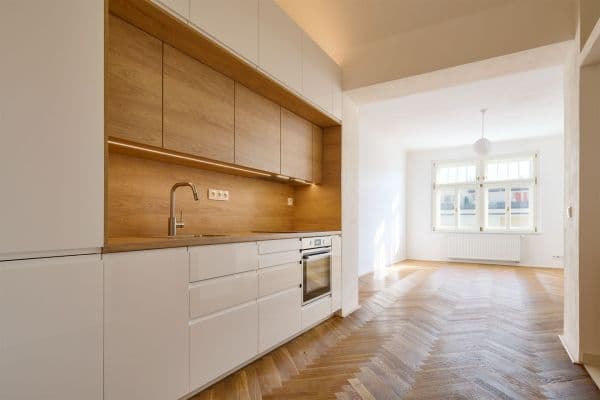 1 bedroom with open-plan kitchen flat to rent, 52 m², 28. pluku, Praha 1 bedroom with open-plan kitchen flat to rent, 52 m², 28. pluku, Praha
