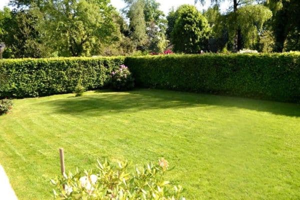 2 bedroom flat to rent, 45 m², Grillparzerweg 41, Wuppertal, North Rhine-Westphalia 2 bedroom flat to rent, 45 m², Grillparzerweg 41, Wuppertal, North Rhine-Westphalia