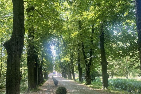 2 bedroom flat for sale, 60 m², Bergheim 2 bedroom flat for sale, 60 m², Bergheim