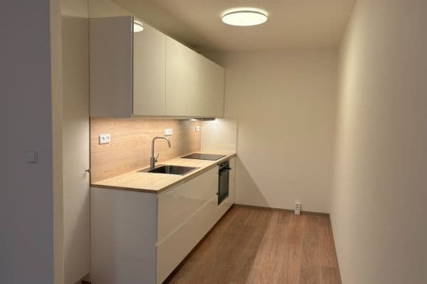 1 bedroom with open-plan kitchen flat to rent, 52 m², Nevanova, Praha 1 bedroom with open-plan kitchen flat to rent, 52 m², Nevanova, Praha