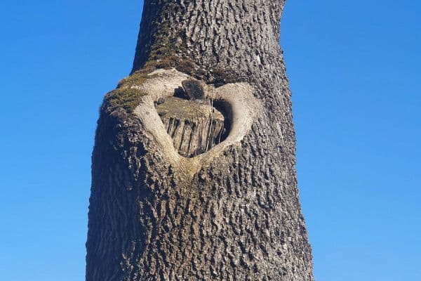 house for sale, 250 m², Wangen im Allgäu house for sale, 250 m², Wangen im Allgäu