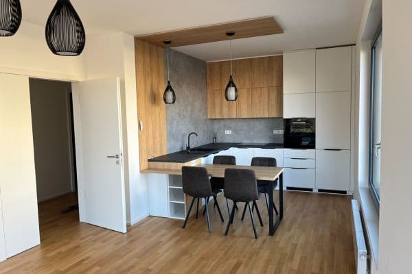 1 bedroom with open-plan kitchen flat to rent, 56 m², Armády, Praha 1 bedroom with open-plan kitchen flat to rent, 56 m², Armády, Praha