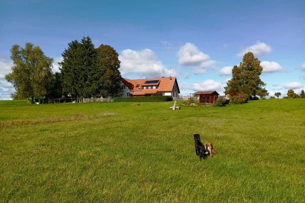 house for sale, 390 m², Rötenbach house for sale, 390 m², Rötenbach