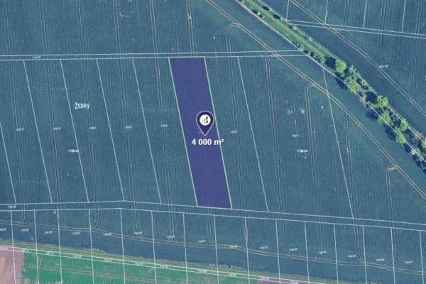 plot for sale, 4,000 m², plot for sale, 4,000 m²,