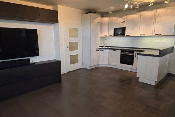 1 bedroom with open-plan kitchen flat to rent, 64 m², Lanžhotská, Praha 1 bedroom with open-plan kitchen flat to rent, 64 m², Lanžhotská, Praha