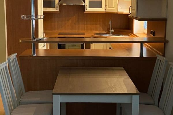 1 bedroom with open-plan kitchen flat to rent, 59 m², Mattioliho, Praha 1 bedroom with open-plan kitchen flat to rent, 59 m², Mattioliho, Praha