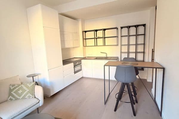 1 bedroom with open-plan kitchen flat to rent, 47 m², Na Spojce, Praha 1 bedroom with open-plan kitchen flat to rent, 47 m², Na Spojce, Praha