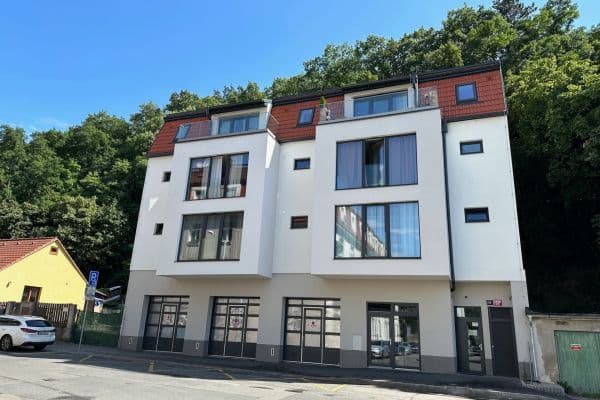 1 bedroom with open-plan kitchen flat to rent, 38 m², Pod Stárkou, Praha 1 bedroom with open-plan kitchen flat to rent, 38 m², Pod Stárkou, Praha