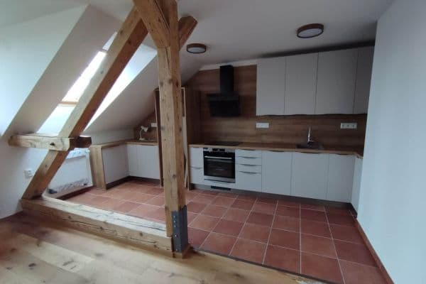 1 bedroom with open-plan kitchen flat to rent, 95 m², U Dráhy, Plzeň 1 bedroom with open-plan kitchen flat to rent, 95 m², U Dráhy, Plzeň