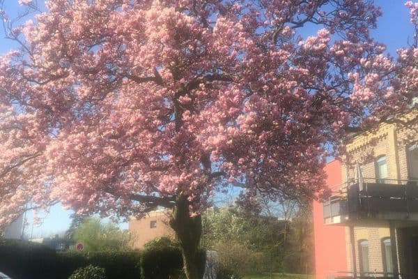 3 bedroom flat for sale, 85 m², Am Dreieck 17, Kaarst 3 bedroom flat for sale, 85 m², Am Dreieck 17, Kaarst