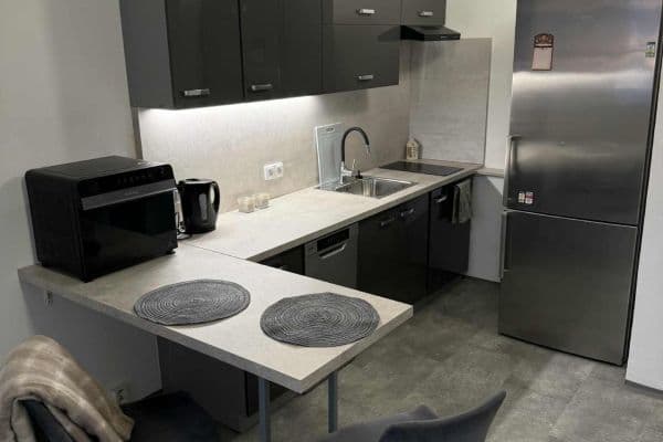 1 bedroom with open-plan kitchen flat for sale, 42 m², Závodní, Děčín 1 bedroom with open-plan kitchen flat for sale, 42 m², Závodní, Děčín