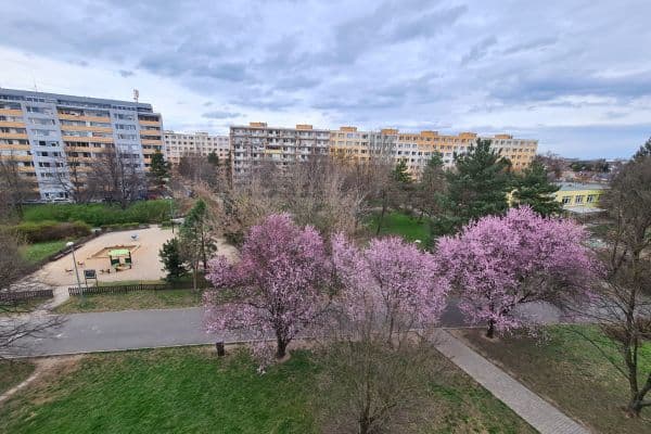 2 bedroom with open-plan kitchen flat to rent, 58 m², Křenická, Praha 2 bedroom with open-plan kitchen flat to rent, 58 m², Křenická, Praha