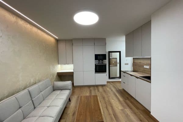 1 bedroom with open-plan kitchen flat to rent, 36 m², Bartákova, Praha 1 bedroom with open-plan kitchen flat to rent, 36 m², Bartákova, Praha