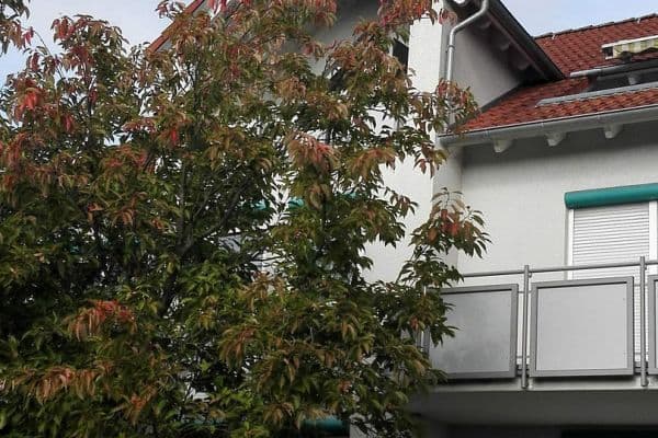 3 bedroom flat to rent, 78 m², Schwaigern 3 bedroom flat to rent, 78 m², Schwaigern