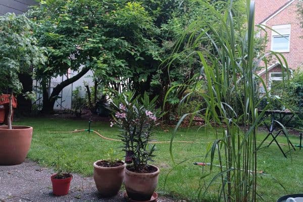 3 bedroom flat to rent, 96 m², Ludwig-Terfloth-Straße 15, Greven 3 bedroom flat to rent, 96 m², Ludwig-Terfloth-Straße 15, Greven