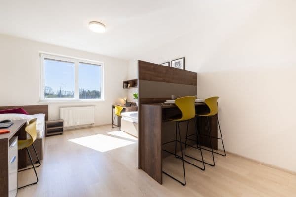 Studio flat to rent, 27 m², Magisterská, Plzeň, Plzeňský Region Studio flat to rent, 27 m², Magisterská, Plzeň, Plzeňský Region