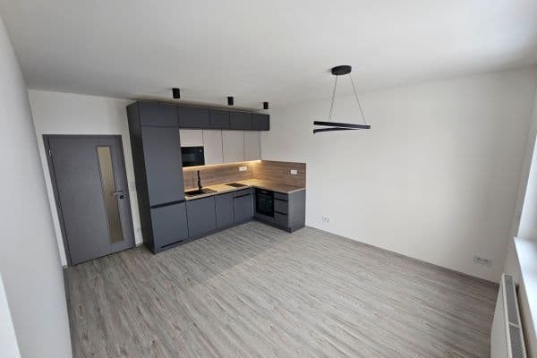 1 bedroom with open-plan kitchen flat to rent, 45 m², Fabiánové, Praha 1 bedroom with open-plan kitchen flat to rent, 45 m², Fabiánové, Praha