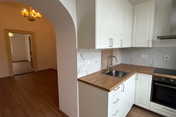 1 bedroom with open-plan kitchen flat to rent, 45 m², Bubenská, Praha 1 bedroom with open-plan kitchen flat to rent, 45 m², Bubenská, Praha