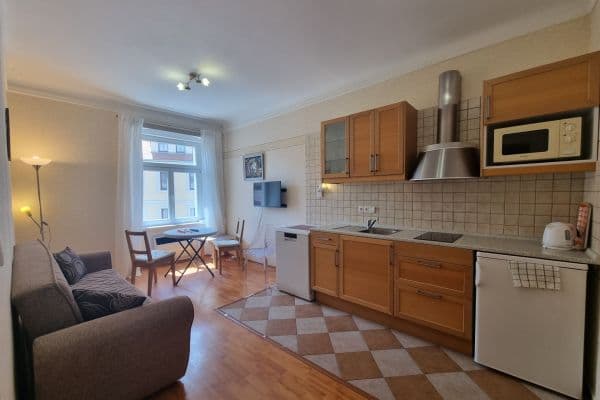 1 bedroom with open-plan kitchen flat for sale, 35 m², Zámecký vrch, Karlovy Vary 1 bedroom with open-plan kitchen flat for sale, 35 m², Zámecký vrch, Karlovy Vary