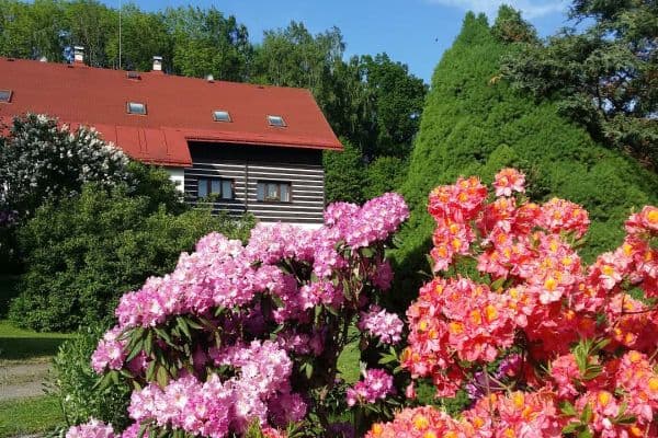 recreational property to rent, 0 m², Skuhrov recreational property to rent, 0 m², Skuhrov