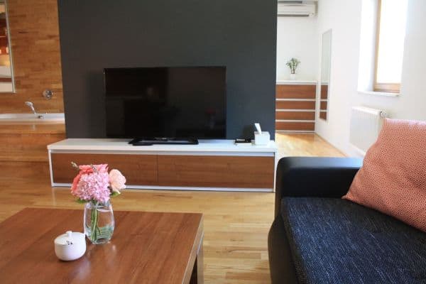 Studio flat to rent, 45 m², Vídeňská, Brno Studio flat to rent, 45 m², Vídeňská, Brno