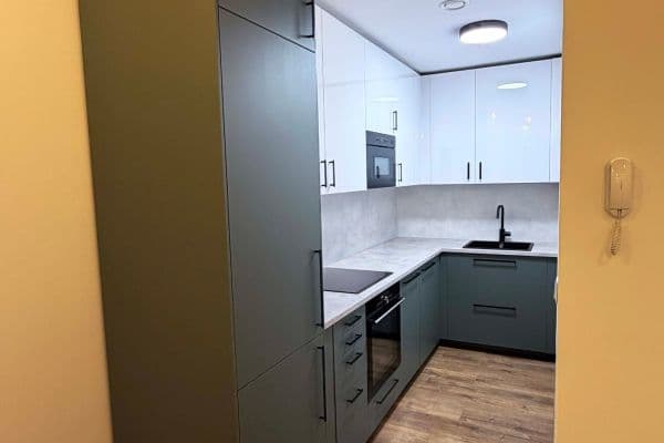 1 bedroom with open-plan kitchen flat to rent, 44 m², Bohunická, Brno 1 bedroom with open-plan kitchen flat to rent, 44 m², Bohunická, Brno