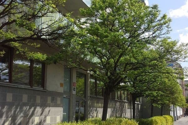 Studio flat to rent, 37 m², U Měšťanského pivovaru, Praha Studio flat to rent, 37 m², U Měšťanského pivovaru, Praha