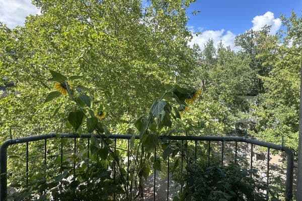 2 bedroom flat to rent, 59 m², Kaiserslautern, Rhineland-Palatinate 2 bedroom flat to rent, 59 m², Kaiserslautern, Rhineland-Palatinate