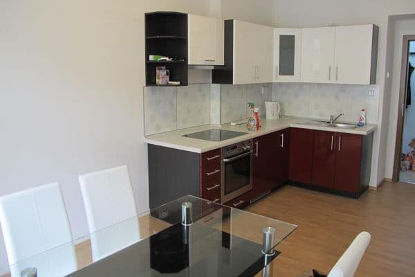 1 bedroom with open-plan kitchen flat to rent, 40 m², Pod Pramenem, Praha 1 bedroom with open-plan kitchen flat to rent, 40 m², Pod Pramenem, Praha
