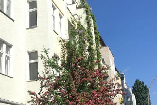 6 bedroom flat for sale, 202 m², Berlin, Berlin 6 bedroom flat for sale, 202 m², Berlin, Berlin